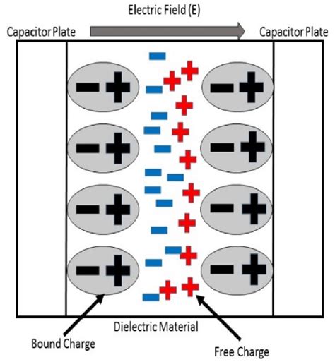 A polarized dielectric material | Download Scientific Diagram