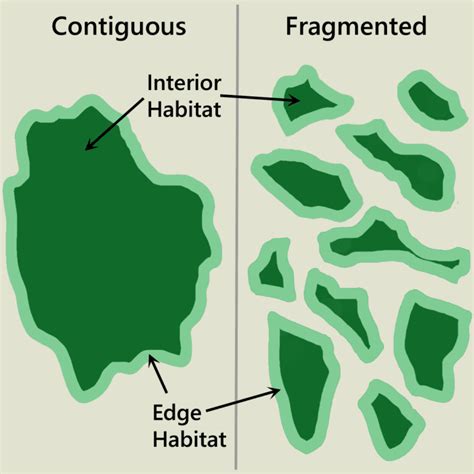 Habitat fragmentation and how land conservation is putting the pieces back together - The Nature ...