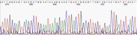 Interpretation of Sequencing Chromatograms