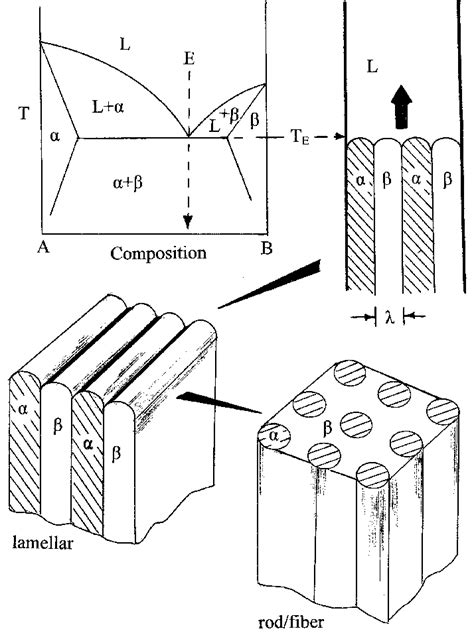 Eutectic phase diagram (left) and associated unidirectional eutectic... | Download Scientific ...