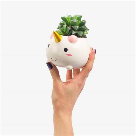 Elodie the Unicorn Mini Planter | Gadgetsin