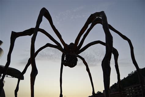 Free Images : silhouette, invertebrate, spider, sculpture, arachnid, bilbao, macro photography ...