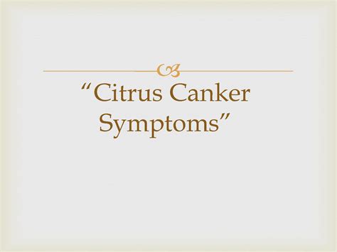 SOLUTION: Citrus canker symptoms - Studypool