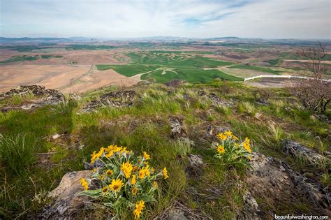 Steptoe Butte State Park