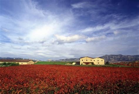 La Rioja Alta – All Wine Tours