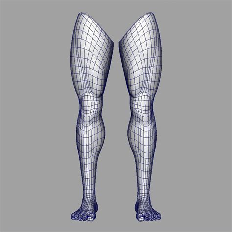 Legs 3D Model $30 - .fbx .obj .ma - Free3D