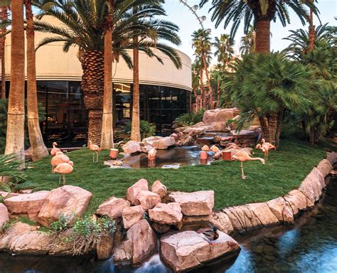 Encounter the necked truth at Wildlife Habitat in Las Vegas - Las Vegas Magazine