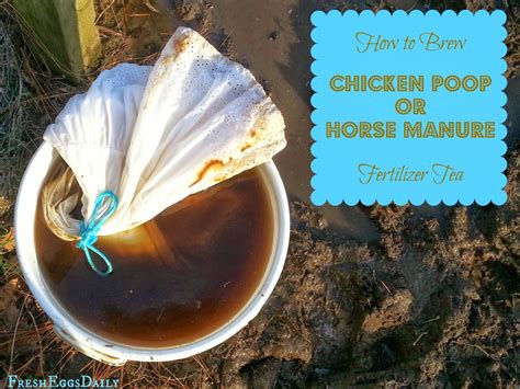 Build a coop blog: How To Brew Chicken Poop or Horse Manure Fertilizer ...