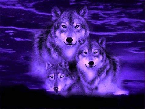 Retro Wolf Hd Wallpaper In 2020 Wolf Wallpaper Uhd Wallpaper Neon | Images and Photos finder