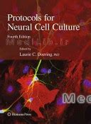 Protocols for Neural Cell Culture