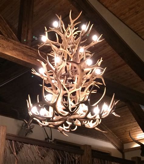 XL Antler Chandeliers | Antler Chandelier