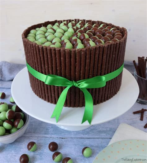 Chocolate Mint Cake - The Baking Explorer