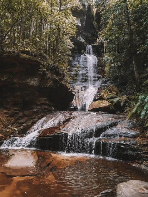 Best hikes lookouts waterfalls in the blue mountains – Artofit