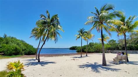 Far Beach in Key Largo 🌴 Is it good for swimming or just the VIEWS ...