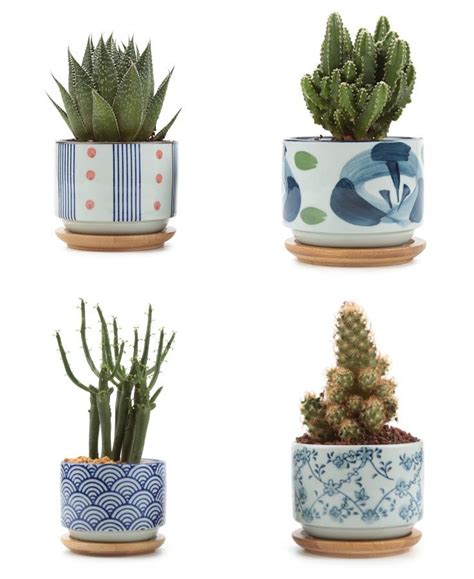 Pin by henry on Quick Saves | Cactus plant pots, Flower pots, Decor project