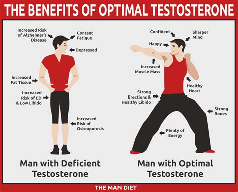 Natural Ways to Boost Your Testosterone - Increase Testosterone Naturally