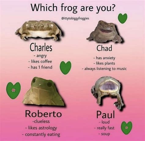 i’m chad wby guys ⁉️😼 | Frog pictures, Frog, Cute frogs