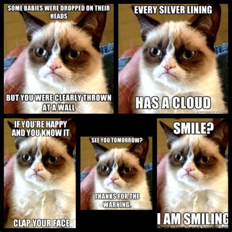 Meme Grumpy Cat Wallpaper - PetsWall