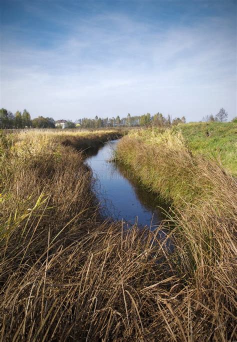 Belarus: Autumn Nature of Marshy Edge Stock Photo - Image of belarus ...