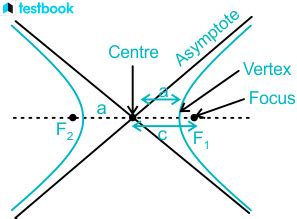 Asymptotes of Hyperbola: Definition, Equation, Angle & How to find