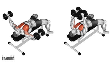 Incline Dumbbell Fly - Instructions, Information & Alternatives ...