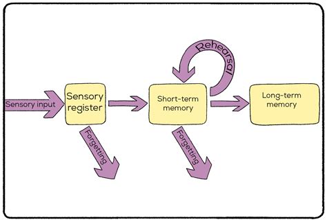 The Spacing Effect in Learning and Retention - Practical Psychology