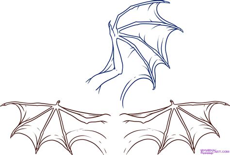 Draw A Dragon | Search Results | InsectAnatomy