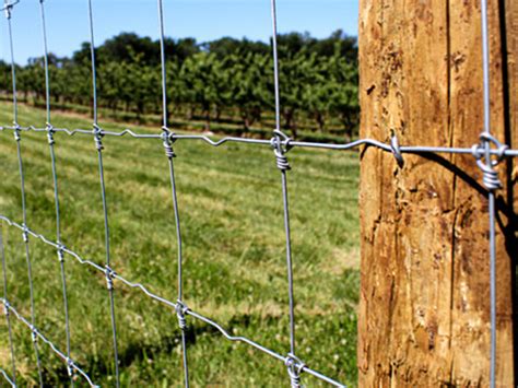 How to Install Game Fence? - Wanzhi Steel