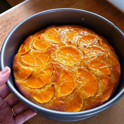 Greek Yogurt Tangerine Cake | Shockingly Delicious