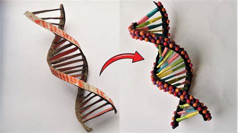 Cardboard DNA Model Project – Go IT