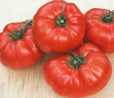 Beefsteak Tomato Health Benefits, Nutrition, Recipes, Substitutes