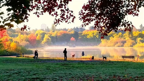 7 Best Parks in Vancouver for Relaxation and Recreation