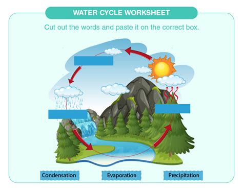 Explore the Water Cycle with Engaging Diagram Worksheets