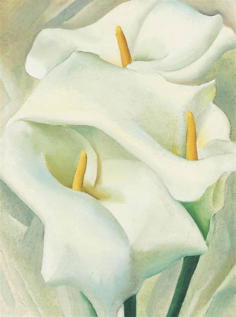 Georgia O Keeffe Flower Painting Names | Best Flower Site