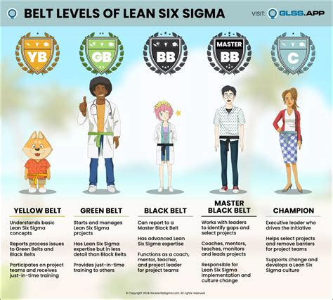 Lean Six Sigma Belt Levels Explained: Roles and Responsibilities