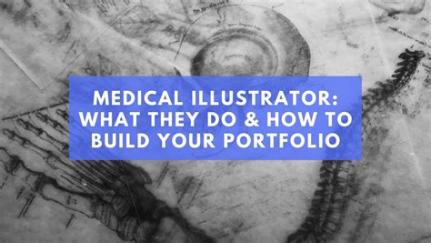 Medical Illustrator: What They Do & How to Build Your Portfolio ...