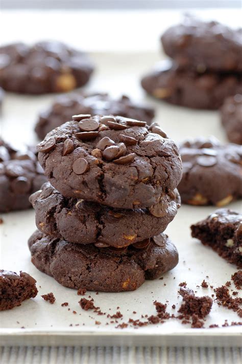 Double Chocolate Chip Cookies | Lil' Cookie