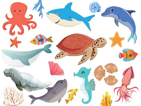 Special Features Of Aquatic Animals Clipart