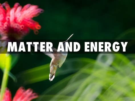 matter and energy by Jon Trewyn