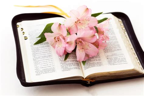 Premium Photo | Bible and flowers on white background