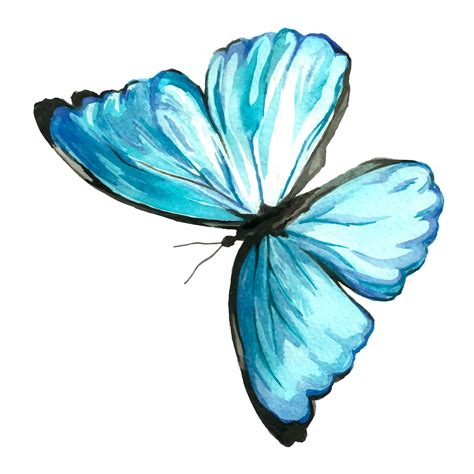 Watercolor Blue Butterfly Painting Demonstration Youtube