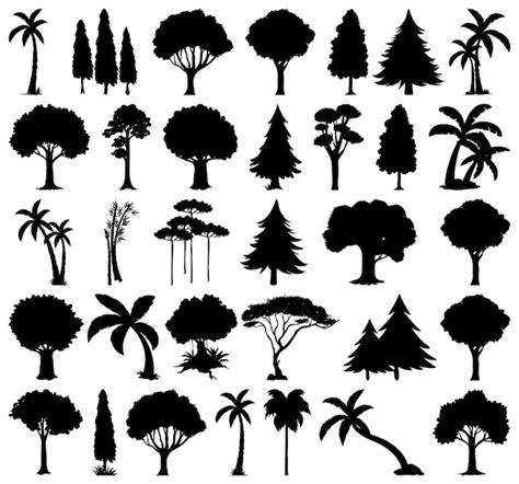 Simple Tree Silhouette Vector