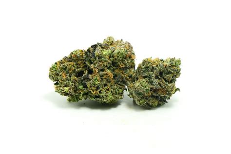 EL CHAPO AAA++ $129 PER OUNCE » HybridFast