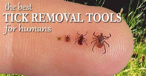 The Best Tick Removal Tools for Humans - Mom Goes Camping
