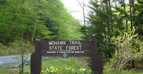 Mohawk Trail State Forest Campground, Massachusetts | Roadtrippers