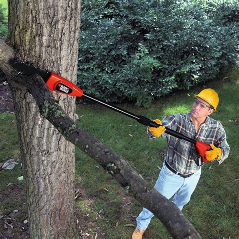 The 5 Best Pole Saws + Reviews & Ratings! (Aug. 2020)