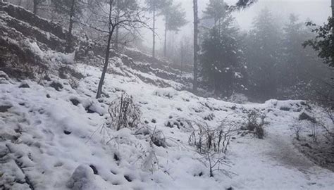 Heavy snowfall forecast for Murree from tonight | GTN News