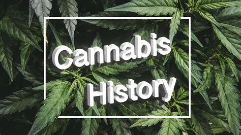 The History of Cannabis | Wikileaf