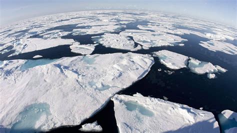 L'acidification de l'océan Arctique inquiète | Radio-Canada