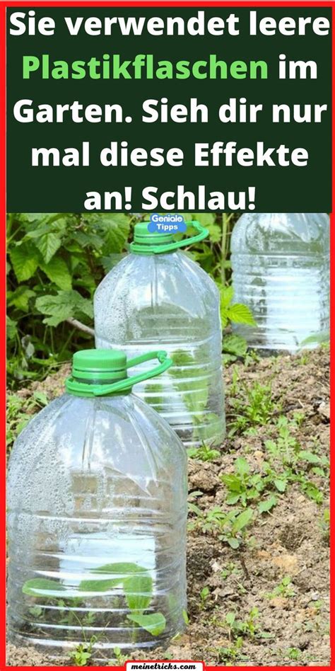 Sie vergräbt leere Plastikflaschen: so sparst du Zeit und Geld! Leere Plastik flaschen: warum ...